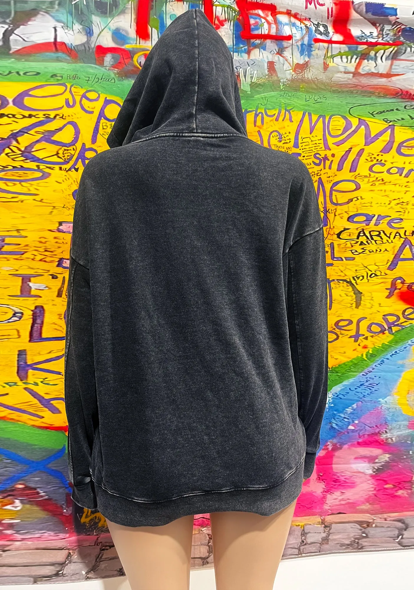 Christmas Santa Duck Y2K Washed Hoodie Cherrykitten