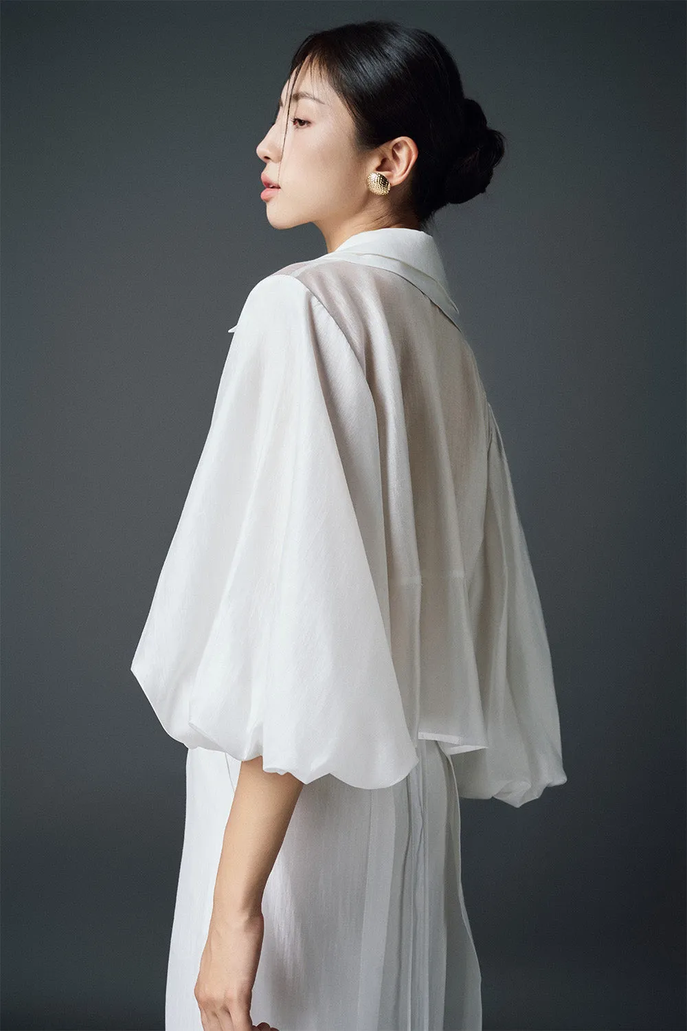 Clove A-line Back Slit Chiffon Ankle Length Skirt
